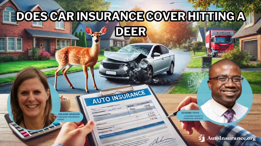 Does auto insurance cover hitting a deer?