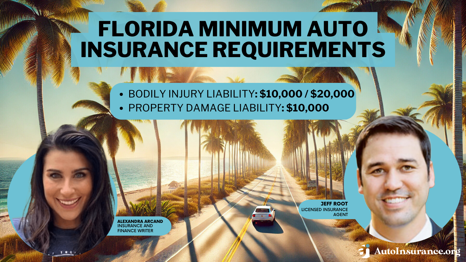 Florida Minimum Auto Insurance Requirements in 2024 (FL Coverage Guide)