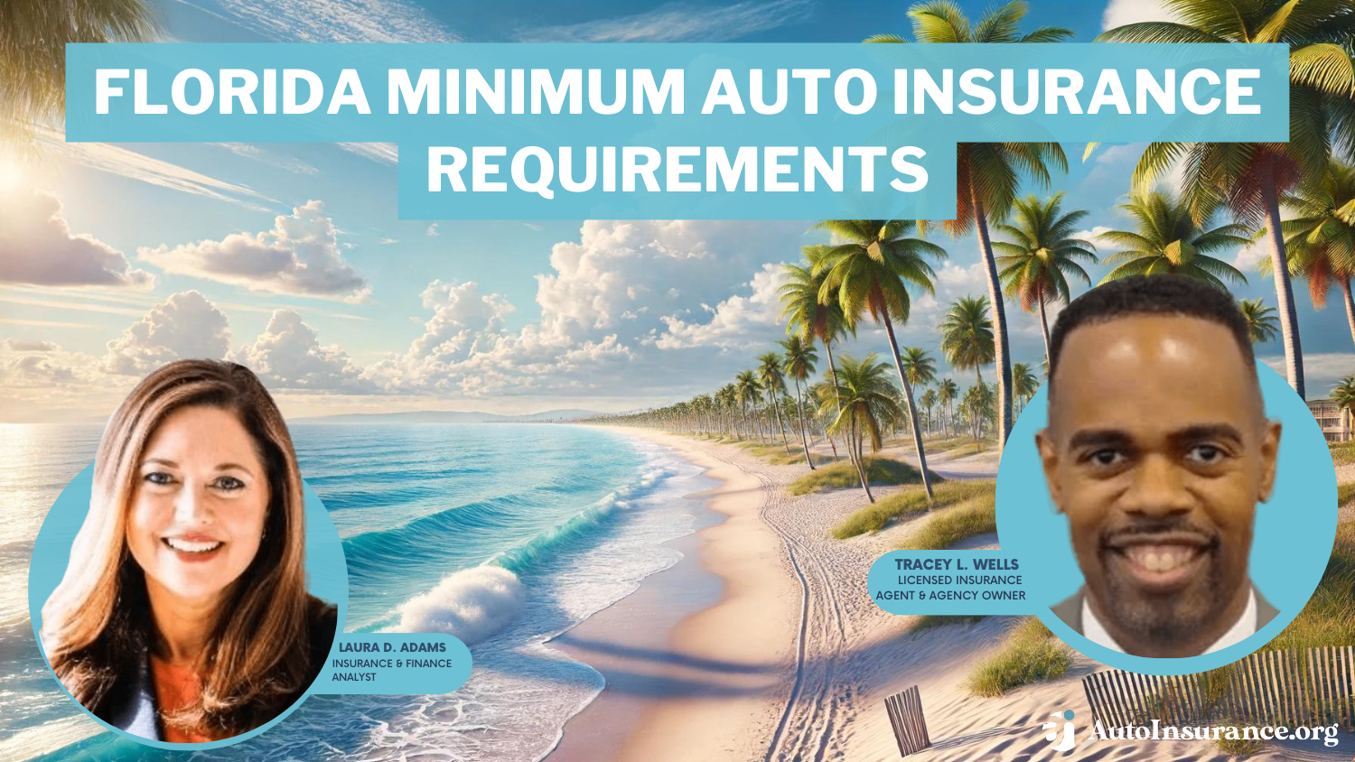 Florida minimum auto insurance requirements